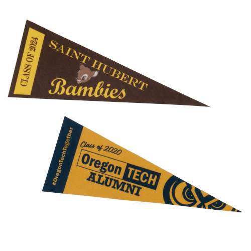 Printed Strip Pennant (4