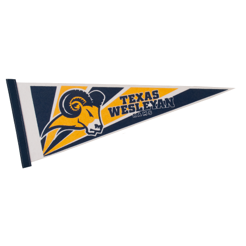 White Felt Pennant (9