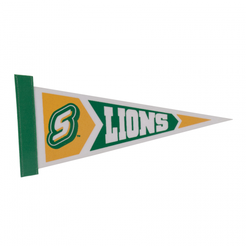 Colored Felt Pennant (5