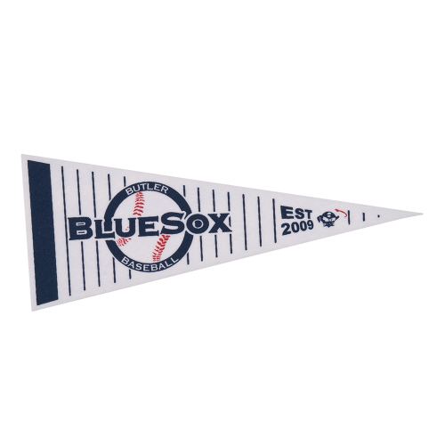 Colored Printed Strip Pennant (4