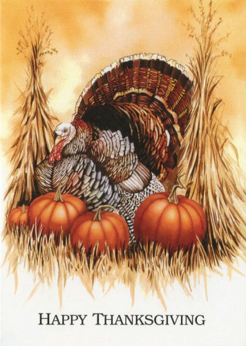 Classic Thanksgiving Turkey & Pumpkin Holiday Greeting Card