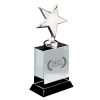 Star Crystal Award