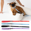 Springer Small Dog Leash