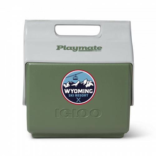 ECOCOOL LITTLE PLAYMATE 7 QUART COOLER (Vintage Green)