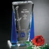 Sentinel Award 6-1/2