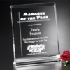Ventura Award 8