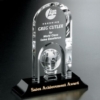 Springfield Global Award 8-1/2