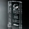 Capricorn Global Award 8
