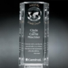 Capricorn Global Award 10
