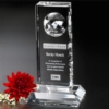 Lewiston Global Award 8