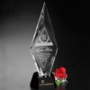 Chaska Award 11