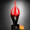 Red Flame Award 16