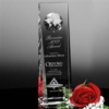 Westby Global Award 10