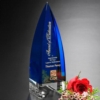 Culmination Indigo Award 7