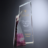 Achievement Purple Award 8-1/2