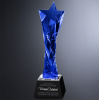Twisted Star Indigo Award 11