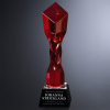 Twisted Diamond Ruby Award 11