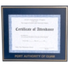 Matted Certificate/Photo Frame (8