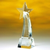 Award-Rising Star 8 1/2