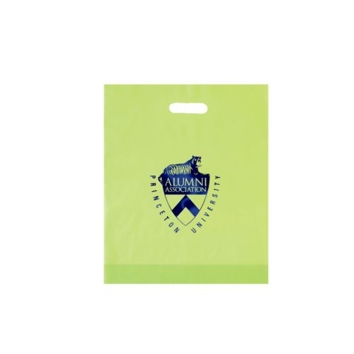 Frosted Die Cut Plastic Bag (15