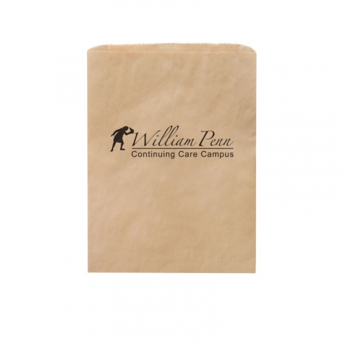 Natural Kraft Paper Merchandise Bag (12