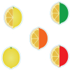 Lemon or Lime Shape Custom Air Fresheners - Top 10 Scents