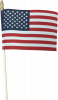 USA Blank Stick Flag (4