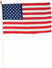 Blank USA Stick Flags Rx (12