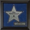 Star 10 Award