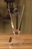 Torch Optical Crystal Award