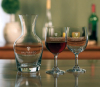 Tyler Tasting Set w/Wine Carafe & 2 Wine Glasses