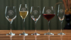 14 Oz. Harmony Stemware White Wine Glass