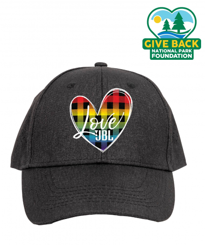 ACE Pride Laser Cut Mesh Back Cap