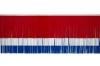 Victory Corps™ Standard Red, White & Blue Fringe (15