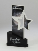 Reflection Star Award