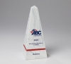 Large Obelisk Award - 11.25