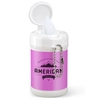 Mini Container w/20 Antibacterial Hand Sanitizing Wipes