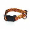 Polyester Pet Collar with Buckle Release-S