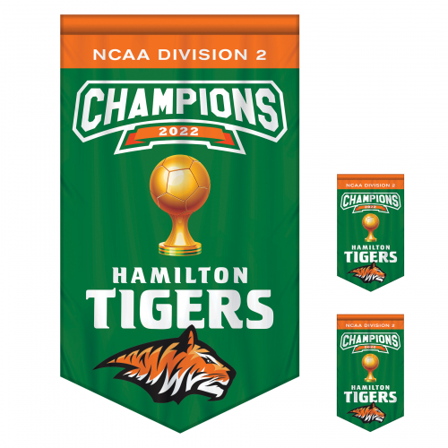 3' x 5' Championship Banner Double Sided V-Cut