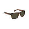Nectar Brown Tortoise Shenandoah Polarized Sunglasses