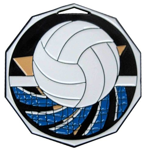 Volleyball Decagon Colored Medallion (2
