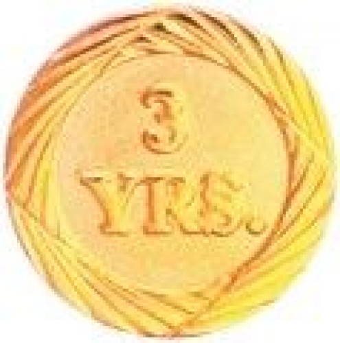 Bright Gold 3 Year Service Lapel Pin