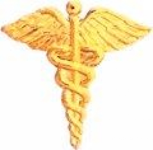 Bright Gold Caduceus Service Lapel Pin