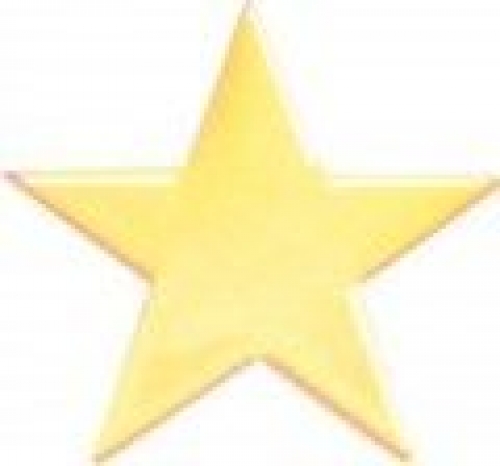 Bright Gold Star Service Lapel Pin