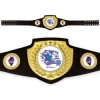 Vibraprint® Bright Shield Championship Belt in Black