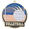 Bright Gold Volleyball High Tech Medallion (2