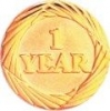 Bright Gold 1 Year Service Lapel Pin