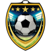 Vibraprint® Shield Soccer Medallion (3