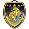 Vibraprint® Shield Wrestling Medallion (3