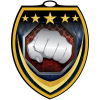 Vibraprint® Shield Martial Arts Medallion (3